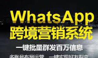 whatsapp是什么软件